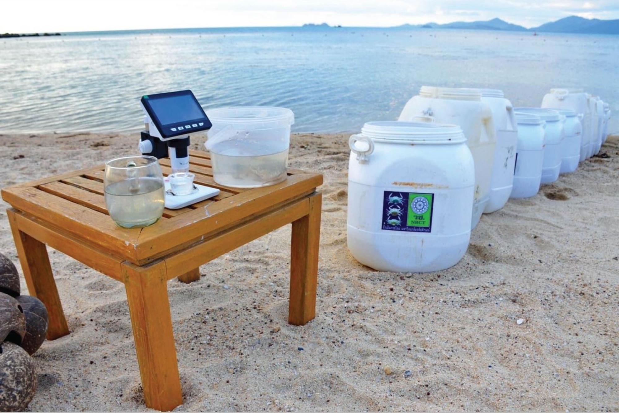 Sheraton Samui Resort Chaweng-stranden Eksteriør billede